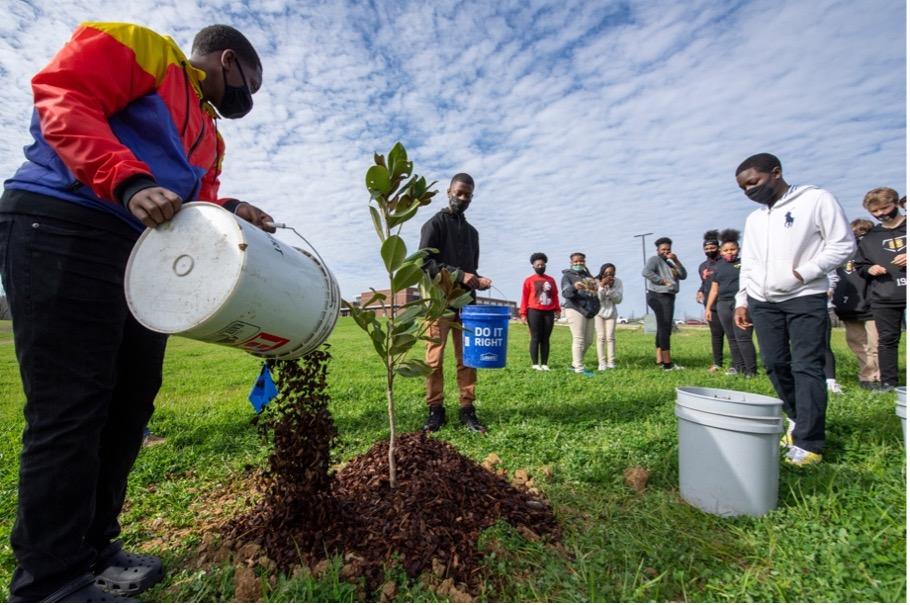 Students planting trees alongside MSU Extension staff
