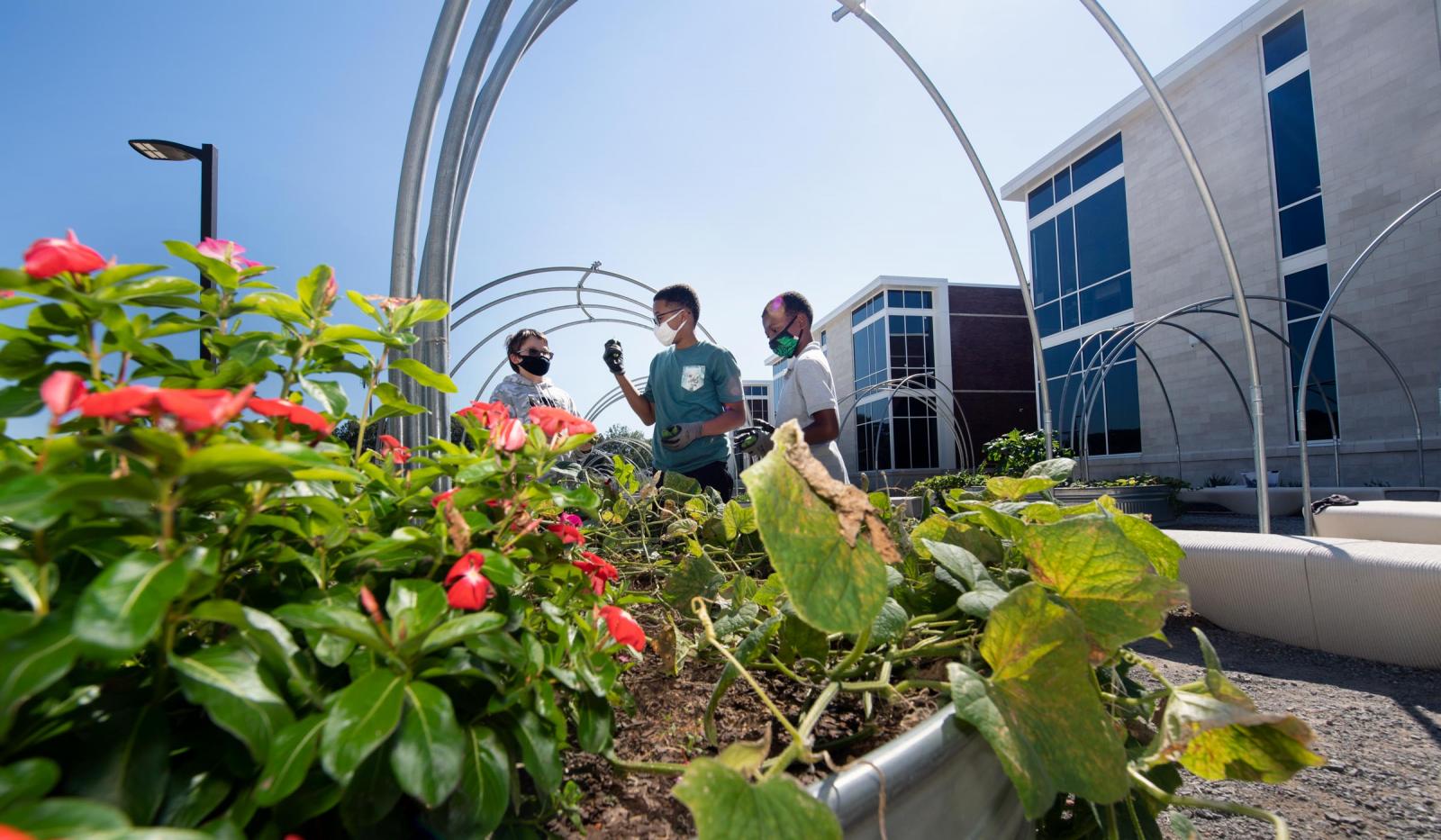 Partnership Middle Grow Gardens and three students