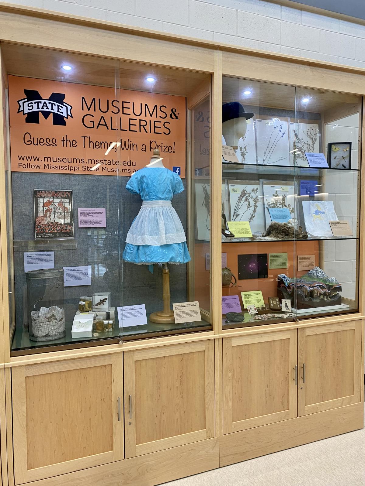 Partnership Display case MSU Museums and Galleries